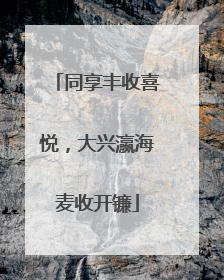 同享丰收喜悦，大兴瀛海麦收开镰