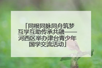 同根同脉同舟筑梦 互学互助传承共融——河西区举办津台青少年国学交流活动