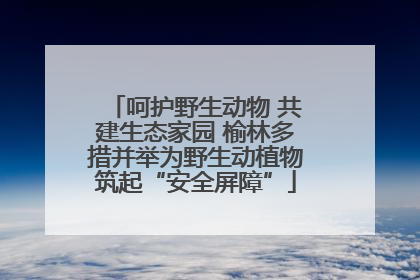 呵护野生动物 共建生态家园 榆林多措并举为野生动植物筑起“安全屏障”