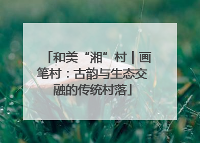 和美“湘”村｜画笔村：古韵与生态交融的传统村落