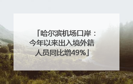 哈尔滨机场口岸：今年以来出入境外籍人员同比增49%