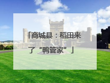 商城县：稻田来了“鸭管家”