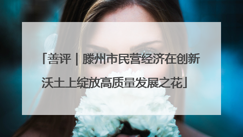 善评｜滕州市民营经济在创新沃土上绽放高质量发展之花