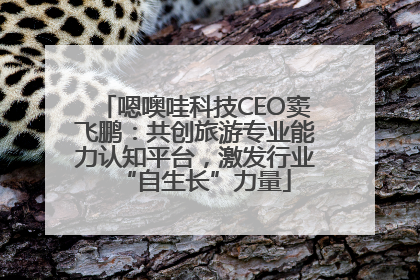 嗯噢哇科技CEO窦飞鹏：共创旅游专业能力认知平台，激发行业“自生长”力量
