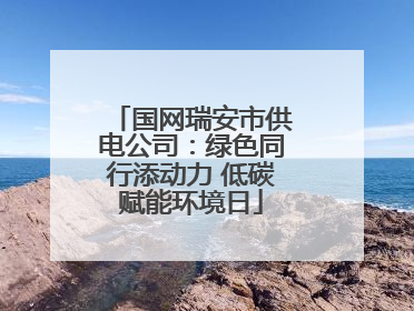 国网瑞安市供电公司：绿色同行添动力 低碳赋能环境日
