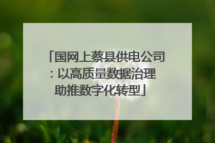 国网上蔡县供电公司：以高质量数据治理 助推数字化转型