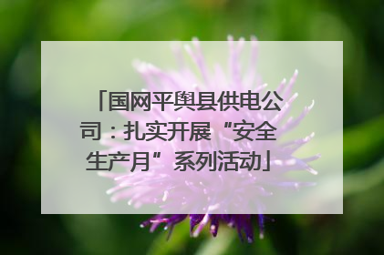 国网平舆县供电公司：扎实开展“安全生产月”系列活动
