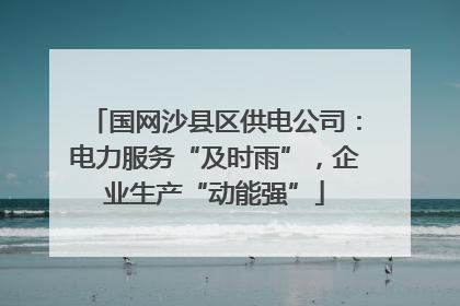国网沙县区供电公司：电力服务“及时雨”，企业生产“动能强”