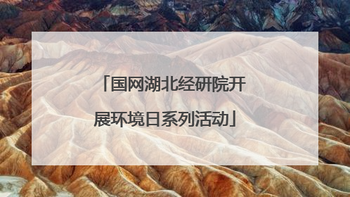 国网湖北经研院开展环境日系列活动