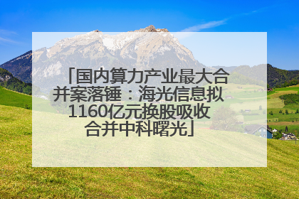 国内算力产业最大合并案落锤：海光信息拟1160亿元换股吸收合并中科曙光