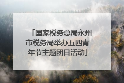 国家税务总局永州市税务局举办五四青年节主题团日活动