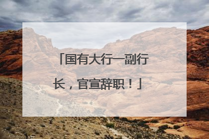 国有大行一副行长，官宣辞职！