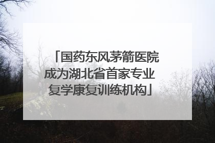 国药东风茅箭医院成为湖北省首家专业复学康复训练机构