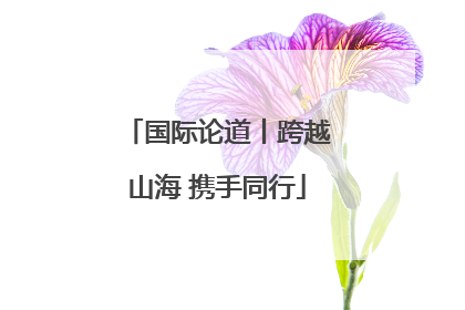 国际论道丨跨越山海 携手同行