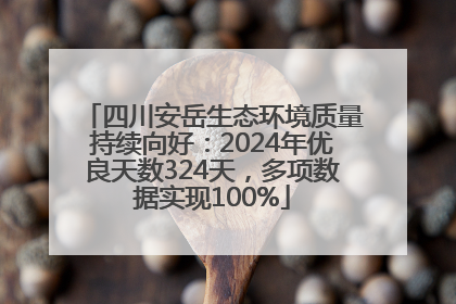 四川安岳生态环境质量持续向好：2024年优良天数324天，多项数据实现100%