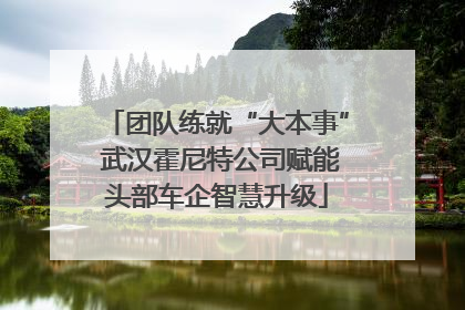 团队练就“大本事” 武汉霍尼特公司赋能头部车企智慧升级