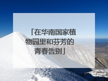在华南国家植物园里和芬芳的青春告别