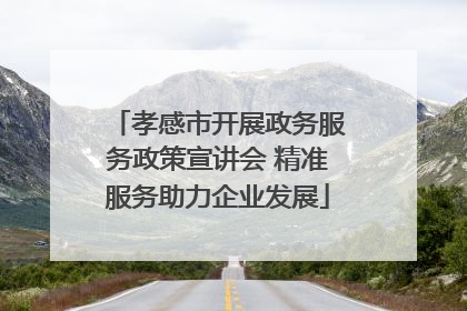 孝感市开展政务服务政策宣讲会 精准服务助力企业发展