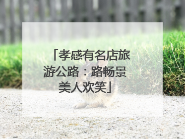 孝感有名店旅游公路：路畅景美人欢笑
