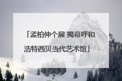 孟柏伸个展 揭幕呼和浩特西贝当代艺术馆