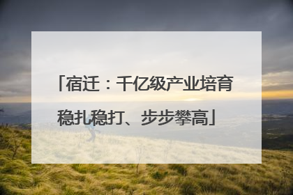 宿迁：千亿级产业培育稳扎稳打、步步攀高