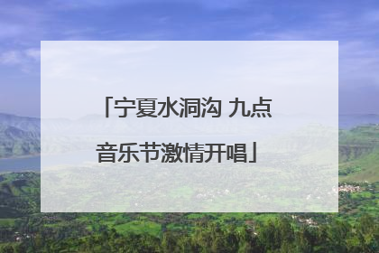宁夏水洞沟 九点音乐节激情开唱