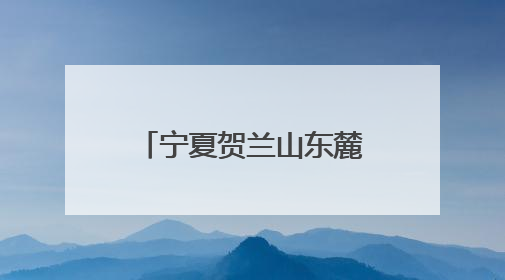 宁夏贺兰山东麓：夏日骄阳催熟“紫色名片”