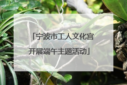宁波市工人文化宫开展端午主题活动