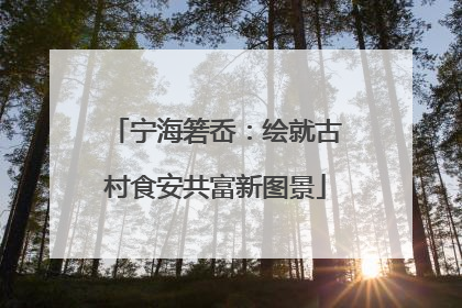 宁海箬岙：绘就古村食安共富新图景