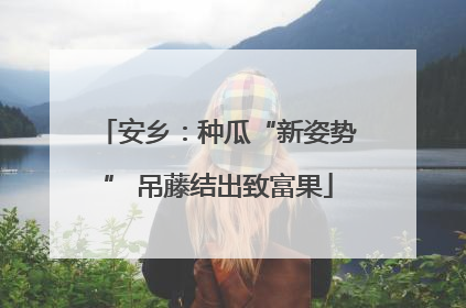 安乡：种瓜“新姿势” 吊藤结出致富果