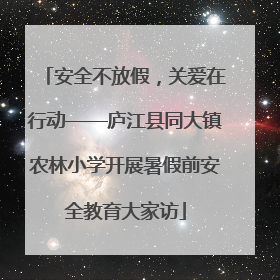 安全不放假，关爱在行动——庐江县同大镇农林小学开展暑假前安全教育大家访