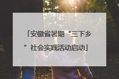 安徽省暑期“三下乡”社会实践活动启动