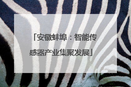安徽蚌埠：智能传感器产业集聚发展