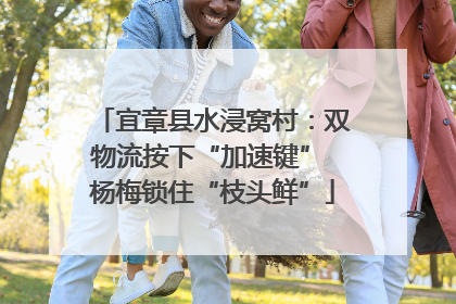 宜章县水浸窝村：双物流按下“加速键” 杨梅锁住“枝头鲜”