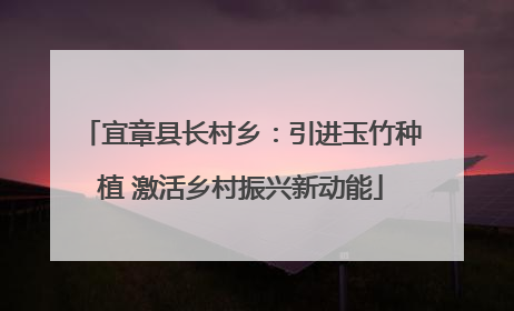 宜章县长村乡：引进玉竹种植 激活乡村振兴新动能