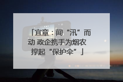 宜章：闻“汛”而动 政企携手为烟农撑起“保护伞”
