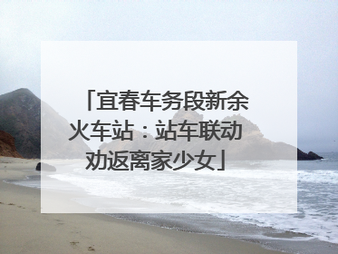宜春车务段新余火车站：站车联动劝返离家少女