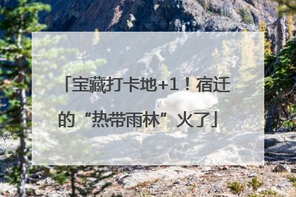 宝藏打卡地+1！宿迁的“热带雨林”火了