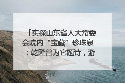 实探山东省人大常委会院内“宝藏”珍珠泉：乾隆曾为它题诗，游客无需预约免费游览