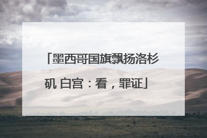 墨西哥国旗飘扬洛杉矶 白宫：看，罪证