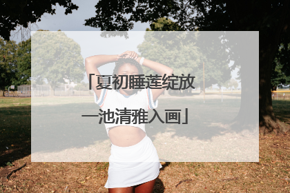 夏初睡莲绽放 一池清雅入画