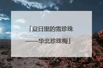 夏日里的雪珍珠——华北珍珠梅