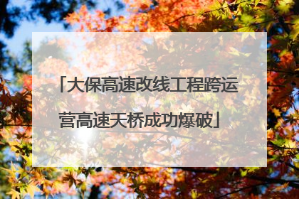 大保高速改线工程跨运营高速天桥成功爆破