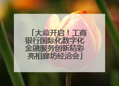 大幕开启！工商银行国际化数字化金融服务创新精彩亮相廊坊经洽会
