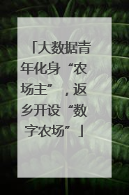 大数据青年化身“农场主”，返乡开设“数字农场”