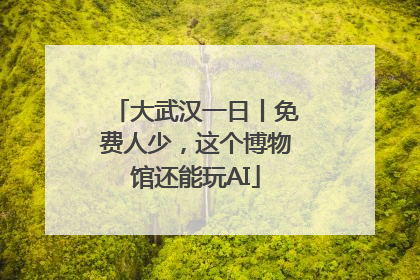 大武汉一日丨免费人少，这个博物馆还能玩AI