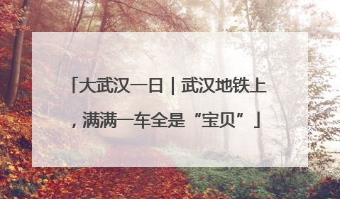大武汉一日｜武汉地铁上，满满一车全是“宝贝”