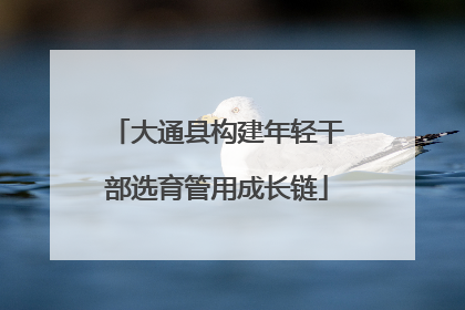 大通县构建年轻干部选育管用成长链