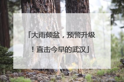 大雨倾盆，预警升级！直击今早的武汉