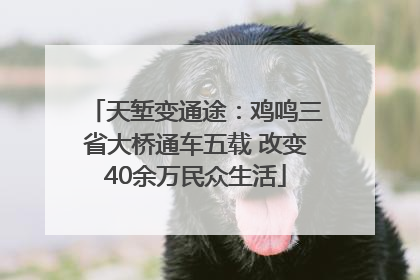 天堑变通途：鸡鸣三省大桥通车五载 改变40余万民众生活